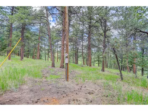 700 Rosalie Rd, Bailey, CO 80421 photo 31