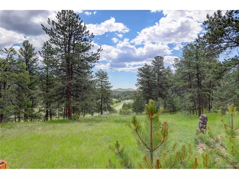 700 Rosalie Rd, Bailey, CO 80421 photo 35