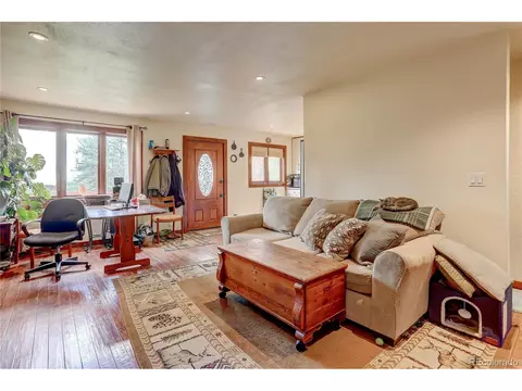 700 Rosalie Rd, Bailey, CO 80421 photo 8