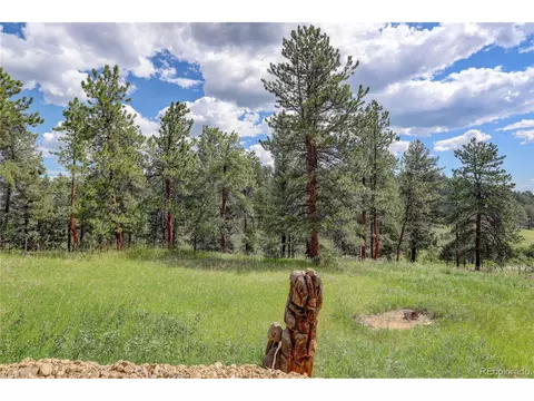 700 Rosalie Rd, Bailey, CO 80421 photo 33