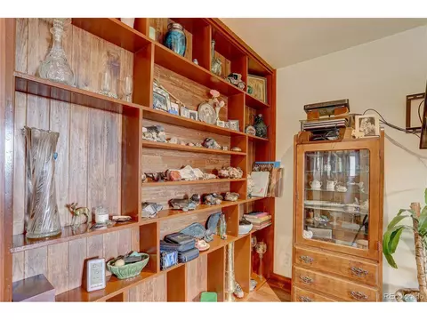 700 Rosalie Rd, Bailey, CO 80421 photo 10