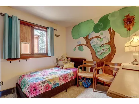 700 Rosalie Rd, Bailey, CO 80421 photo 15