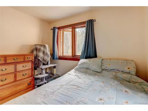700 Rosalie Rd, Bailey, CO 80421 photo 14