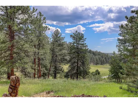 700 Rosalie Rd, Bailey, CO 80421 photo 32