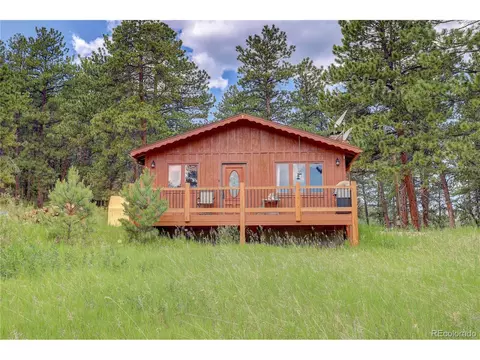 700 Rosalie Rd, Bailey, CO 80421 photo 24