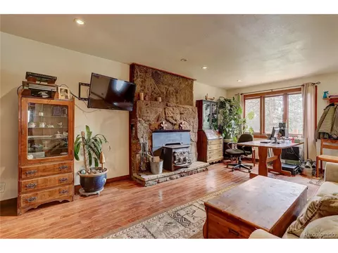 700 Rosalie Rd, Bailey, CO 80421 photo 6