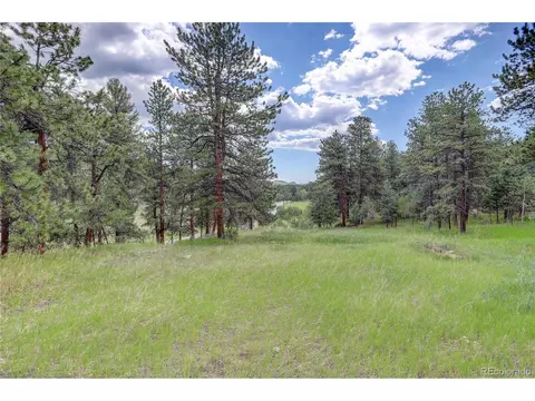 700 Rosalie Rd, Bailey, CO 80421 photo 34