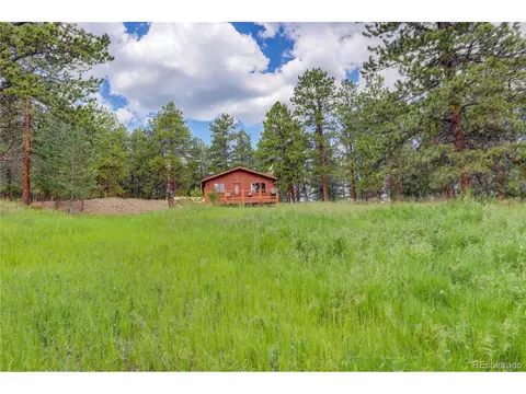 700 Rosalie Rd, Bailey, CO 80421 photo 25