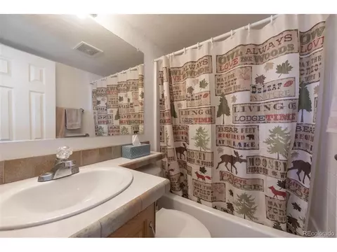 182 Sunshine Loop, Fairplay, CO 80440 photo 14