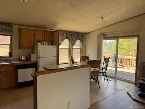 33505 Diana Rd, Pine, CO 80470 photo 2