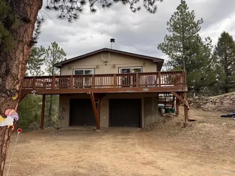 33505 Diana Rd, Pine, CO 80470