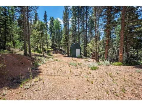1201 Spring Creek Dr, Divide, CO 80814 photo 11