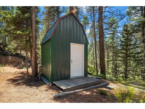 1201 Spring Creek Dr, Divide, CO 80814 photo 10