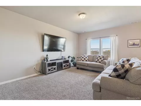 Living - 11751 Sedge, Peyton, CO 80831 photo 3 of 4