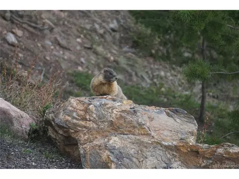 11141 Marks Dr, Conifer, CO 80433 photo 31