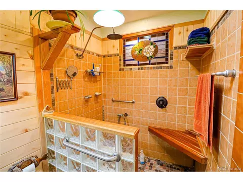 234 Bunny Rd, Bailey, CO 80421 photo 15