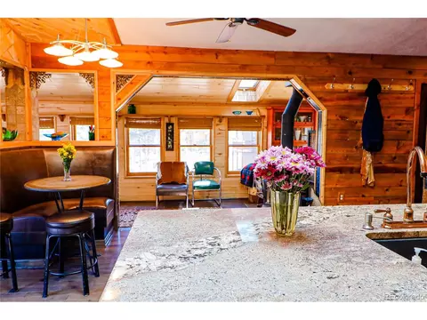 234 Bunny Rd, Bailey, CO 80421 photo 6