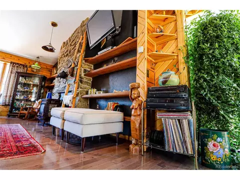 234 Bunny Rd, Bailey, CO 80421 photo 11