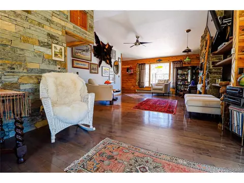 234 Bunny Rd, Bailey, CO 80421 photo 10