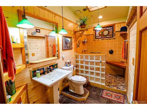 234 Bunny Rd, Bailey, CO 80421 photo 16