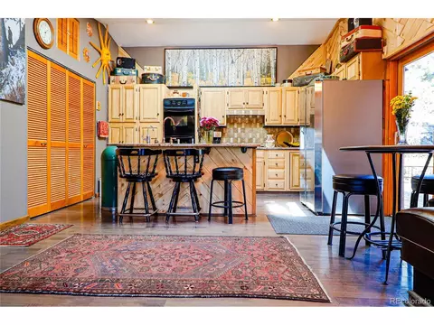 234 Bunny Rd, Bailey, CO 80421 photo 5