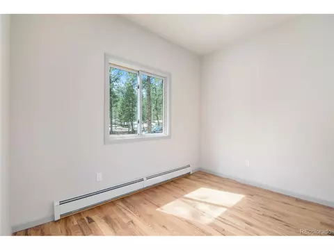 1347 Woodside Dr, Pine, CO 80470 photo 23