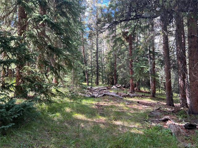 26 Blue Grouse Trl, Blue River, CO 80424