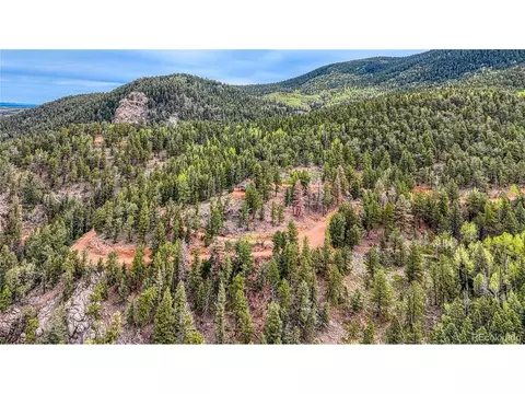18766 State Highway 67, Divide, CO 80814 photo 39