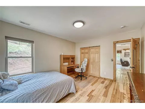 18766 State Highway 67, Divide, CO 80814 photo 20