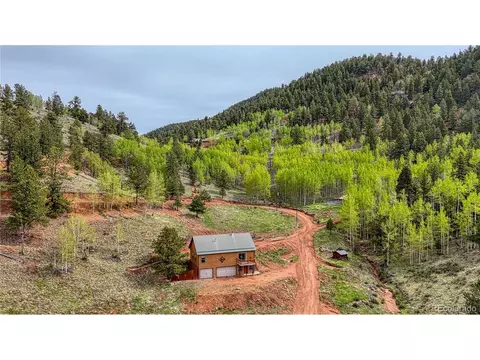 18766 State Highway 67, Divide, CO 80814 photo 49