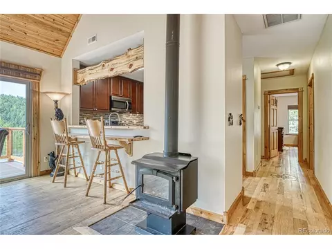 18766 State Highway 67, Divide, CO 80814 photo 10