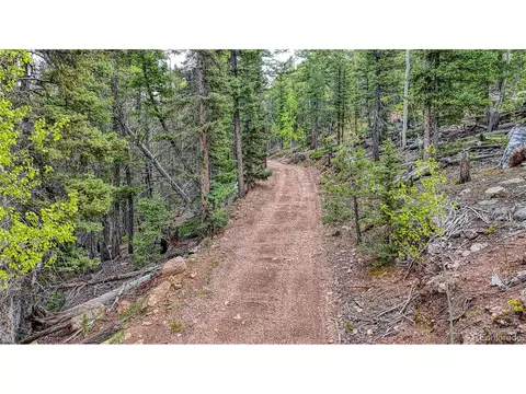 18766 State Highway 67, Divide, CO 80814 photo 32
