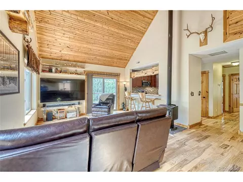 18766 State Highway 67, Divide, CO 80814 photo 8