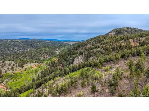 18766 State Highway 67, Divide, CO 80814 photo 41
