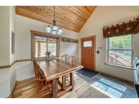 18766 State Highway 67, Divide, CO 80814 photo 14