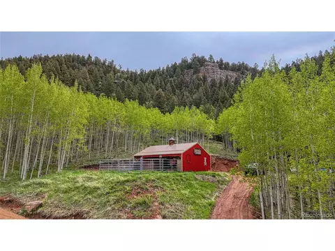 18766 State Highway 67, Divide, CO 80814 photo 3