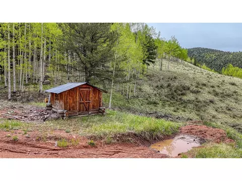 18766 State Highway 67, Divide, CO 80814 photo 45