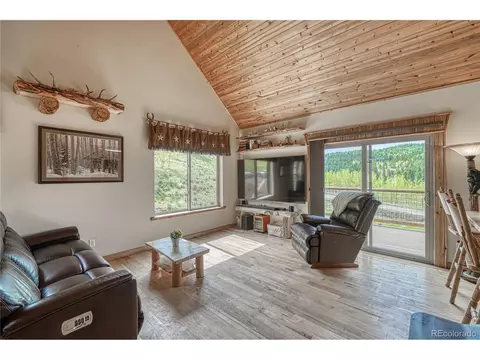 18766 State Highway 67, Divide, CO 80814 photo 9