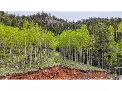 18766 State Highway 67, Divide, CO 80814 photo 43