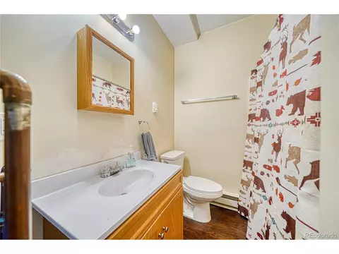 18766 State Highway 67, Divide, CO 80814 photo 26