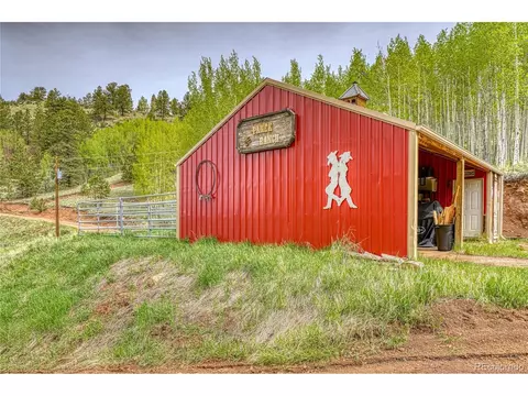 18766 State Highway 67, Divide, CO 80814 photo 30