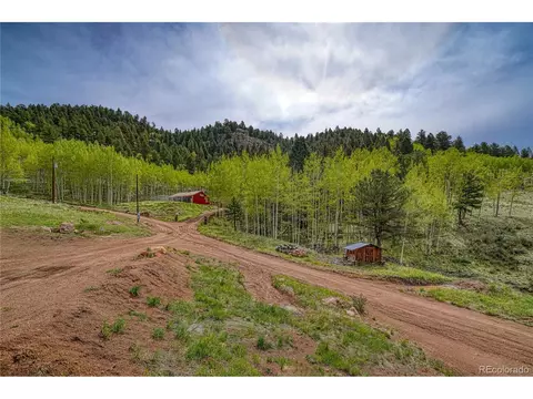 18766 State Highway 67, Divide, CO 80814 photo 47