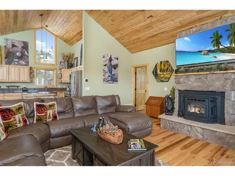 436 Bear Ln, Como, CO 80432 photo 7