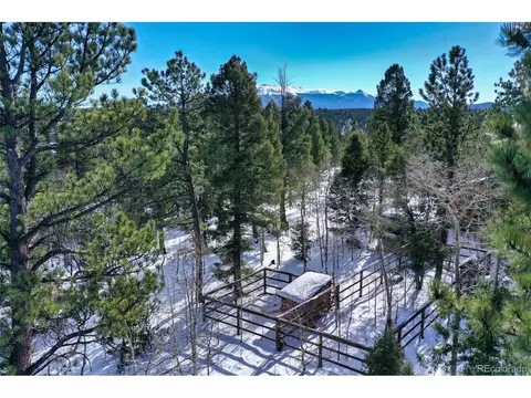 4155 Cedar Mountain Rd, Divide, CO 80814 photo 43