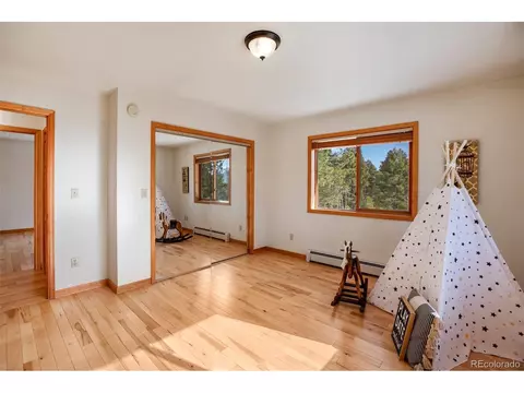 4155 Cedar Mountain Rd, Divide, CO 80814 photo 23