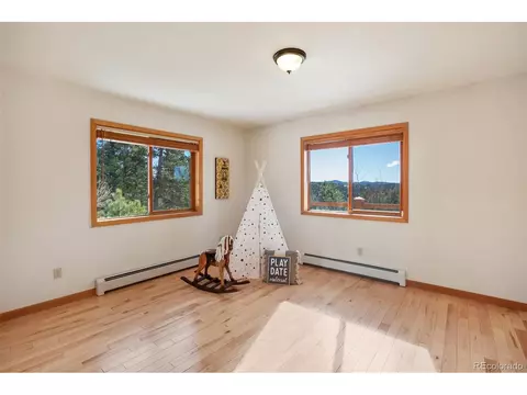 4155 Cedar Mountain Rd, Divide, CO 80814 photo 22