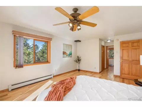 4155 Cedar Mountain Rd, Divide, CO 80814 photo 19