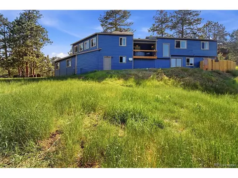 Exterior - 153 Chickadee Ln, Bailey, CO 80421 photo 5 of 7