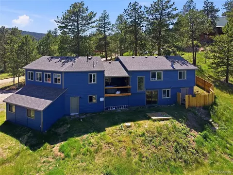 Other - 153 Chickadee Ln, Bailey, CO 80421 photo 11 of 11