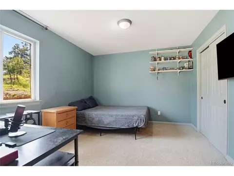 Bedroom - 153 Chickadee Ln, Bailey, CO 80421 photo 3 of 6